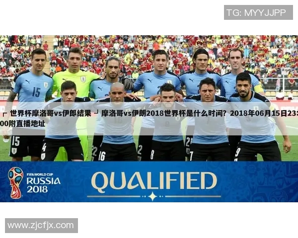 伊朗与摩洛哥足球比赛技术统计分析及数据对比